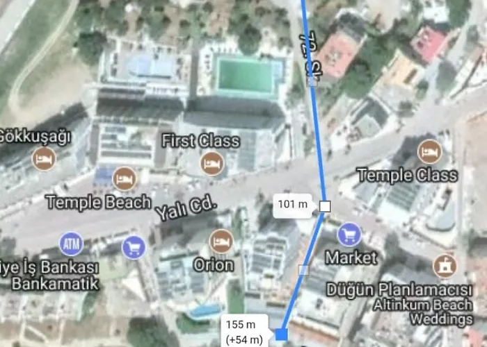 Golden ディディム